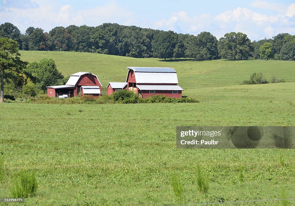 Image of rural Georgia by Paulbr. 